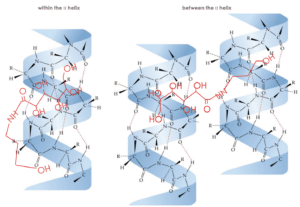 ponti, legami, ionici, disolfuro, eliche, ristrutturazione, olaplex, capelli, anticaduta, balsamo, sfibrati, danneggiati