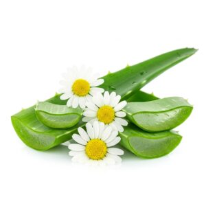 aloe, camomilla, epigenix, zinco, spray, pasta, lenitivo, antinfiammatorio,naturale, infiammazione, crema, spray, cambio pannolino, degenti, sportivi