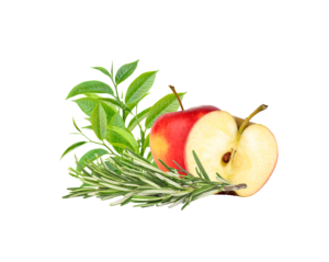 rosmarino, te,verde, mela, annurca, melannurca, capelli, ricrescita, annurcap, stanartis, caduta, anticaduta, uomo, donna, naturale, farmacia, lozione, epigenix, epigenetica, dna